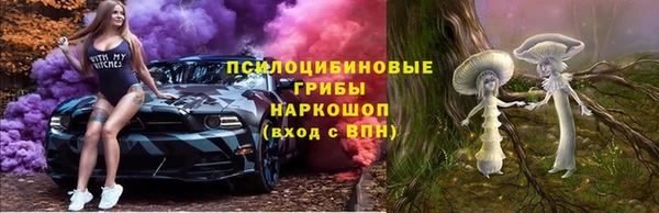 шишки Арсеньев