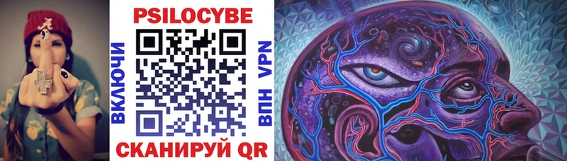 Псилоцибиновые грибы MAGIC MUSHROOMS  где купить   Чаплыгин 